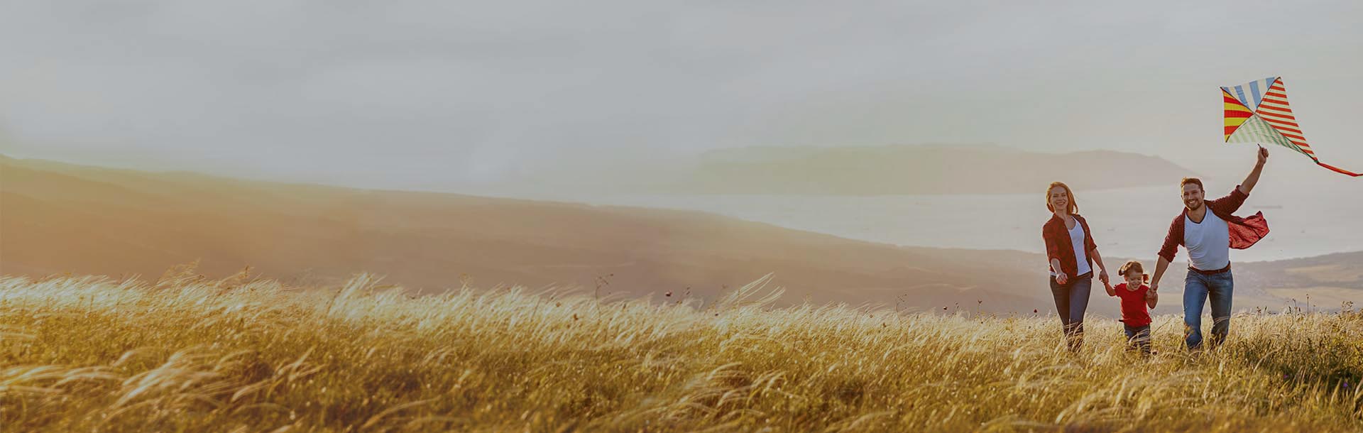 Consumer Loans LightStream